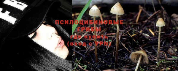 spice Киреевск