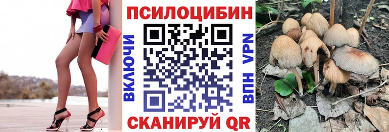Галлюциногенные грибы Psilocybine cubensis  Купить закладки  Учалы 